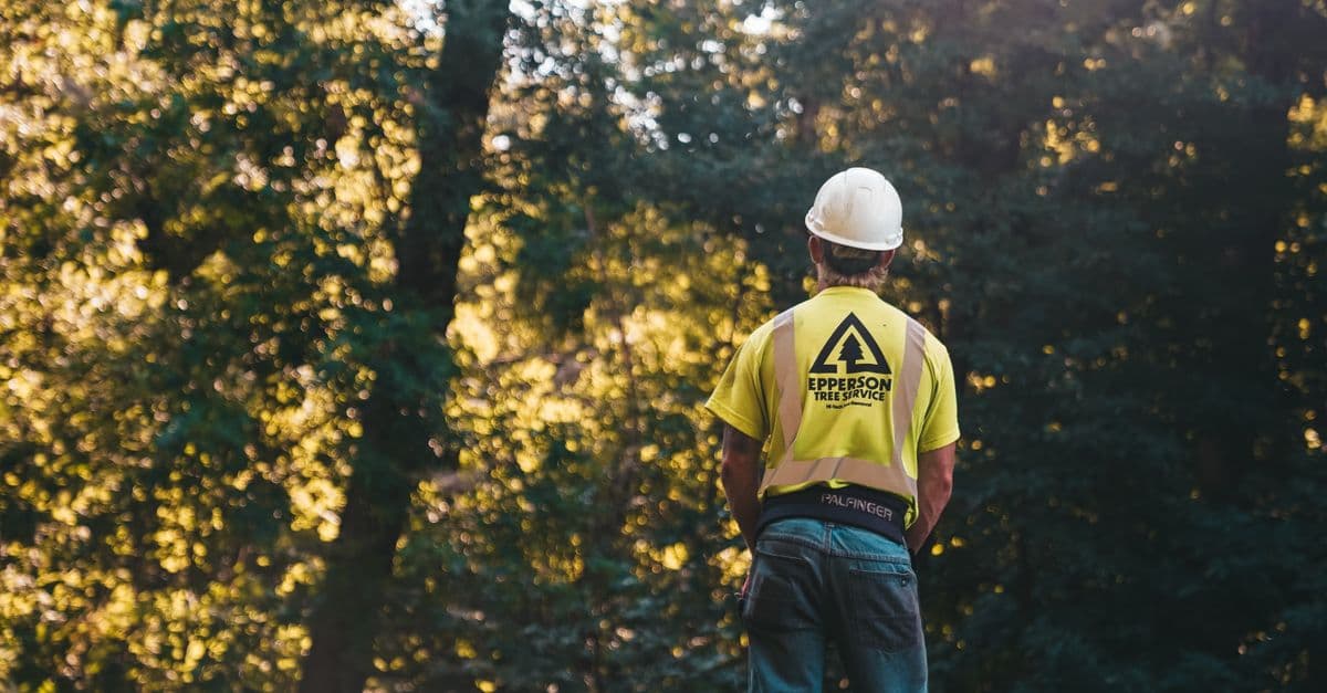 How AI Search Is Changing How Homeowners Find Tree Services