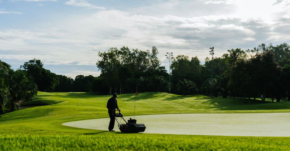 Google Business Profile Photos Drive 42% More Direction Requests for Lawn Care Companies