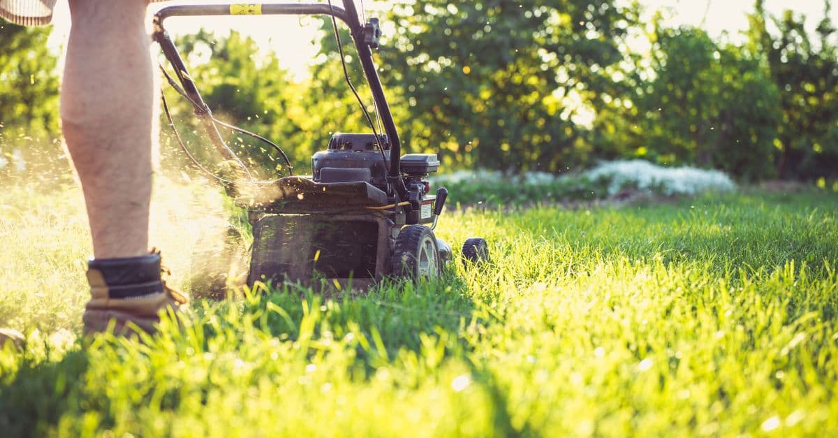 Google Business Profile Photos Drive 42% More Direction Requests for Landscapers