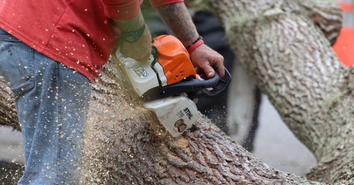 Tree Service Local SEO: Why Reviews and Google Profile Win Jobs